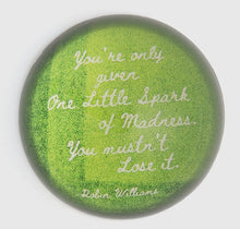 Load image into Gallery viewer, paperweights
